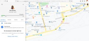 Google local guide